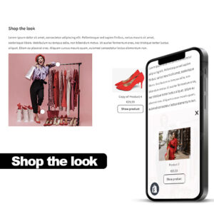 Shop the look - Sections Shopify